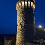 Foschi